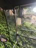 齊選全折疊雨棚電動(dòng)車雨篷棚電瓶摩托車防風(fēng)擋雨防曬伸縮遮陽(yáng)傘不怕查 快拆裝全折疊【星星熊】雙面印花 曬單實(shí)拍圖