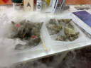諸老大粽子短保鎖鮮粽新鮮日期枕形黑豬肉長條咸粽湖州特產(chǎn)早餐嘉興產(chǎn) 【200克*2只*3】雙蛋黃黑豬肉粽6 曬單實拍圖