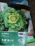 壽禾 黃心菜油菜種子玫瑰烏塌菜白菜菜籽菜子蔬菜秋冬黑菜種籽 口感好 冬星黃心烏種子10g 曬單實(shí)拍圖