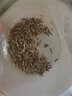 臨世堂正宗小茴香中藥材泡茶500g特級(jí)小回香小茴香粉調(diào)料小葷香 小茴香250克 曬單實(shí)拍圖