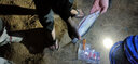 RIKIMARU 力丸 沉水包芯大力馬魚(yú)線 筏釣海釣路亞主線PE線防咬子線 8編軍綠色100m 1.5號(hào) 曬單實(shí)拍圖