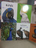 少兒英語100詞 啟蒙認知100只動物 英文原版 First 100 Animals 羅杰普利迪 認識動物學單詞 撕不爛紙板書 0-6歲 搭我的100種動物翻翻書 啟蒙認知100只動物 曬單實拍圖