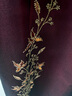 喬萬(wàn)尼女秋裝新款連衣裙重工宴會(huì)禮服金絲繡花設(shè)計(jì) 棗泥紅 L 曬單實(shí)拍圖