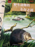 YOUTH經(jīng)典譯叢·西頓動(dòng)物故事全集：野生動(dòng)物的生存之道 曬單實(shí)拍圖