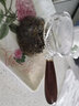 borun HOME 全玻璃加厚耐高溫玻璃花茶壺明火煮泡養生側把花梨木功夫茶器【月牙壺】花梨木把手(350ml) 曬單實(shí)拍圖