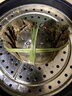 【活蟹】蟹行天下鮮活大閘蟹 現(xiàn)貨螃蟹 大閘蟹公蟹母蟹 299型公蟹3.6兩母蟹2.6兩 4對(duì)8只 國(guó)慶節(jié)送禮節(jié)日禮品團(tuán)購(gòu) 曬單實(shí)拍圖