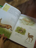 最美最美的博物書(shū) 動(dòng)物園+野生動(dòng)物+家畜+昆蟲(chóng)+樹(shù)（套裝共5冊） 曬單實(shí)拍圖