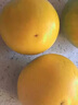 裕農(nóng)叔冬蜜黃晶果【順豐JD】鮮果新鮮孕婦罕見稀有水果黃石牛奶蛋黃果 5斤裝（60%選擇-超劃算）凈果4.5斤 曬單實拍圖
