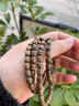 資微黛保價(jià)胖東來(lái)品質(zhì)正宗天然九分沉水級沉香108顆多圈手串佛珠越南大 小號丨約6*6mm*108顆*15g 曬單實(shí)拍圖