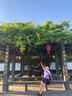 拉曼咔泰國校服娜諾泰式禁忌女孩jk襯衫制服日系高中學(xué)生畢業(yè)季班服套裝 女泰國襯衫短袖+藏青松緊腰短裙 M （建議90~99斤） 曬單實(shí)拍圖