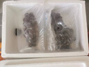 馬保果 陜西戶(hù)太八號葡萄新鮮現采摘滬太8號葡萄整箱夏黑葡萄 5斤 精選裝 曬單實(shí)拍圖