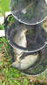 盈龍 爆炸鉤防掛底熒光魚(yú)鉤伊勢尼彈簧釣魚(yú)鉤有倒刺套裝海竿拋竿爆炸餌漁具配件 垂釣用品 熒光色 熒光鉤7號（一盒4只裝） 曬單實(shí)拍圖
