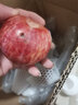 青尊園三華李新鮮現貨孕婦愛(ài)吃酸脆紅心早熟青李子水果現發(fā) 2斤 精選裝 曬單實(shí)拍圖