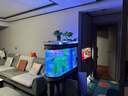喜灝子彈頭魚缸水族箱客廳家用中型大型1.2米屏風隔斷免換水鞋柜魚缸 包到家安裝 1.0米長實木夾板柜一套-底濾 曬單實拍圖