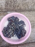 艾珠兒衛(wèi)衣女裝春季新款韓版寬松上衣服外套女春秋休閑連帽小個子上衣女 深灰色 M 曬單實拍圖