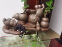 小鴿子養魚(yú)缸盆石槽小流水器景噴泉圓型玻璃陶瓷搭配循環(huán)增氧水族箱DIY 五福臨門(mén) G20209 配水泵 曬單實(shí)拍圖