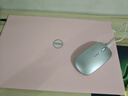 戴爾（DELL）電腦筆記本輕薄本靈越15pro 高性能酷睿筆記本辦公本粉色女大學(xué)生電腦超薄獨(dú)顯商務(wù)手提筆記本電腦 初戀粉 | 15pro裝粉殼【15.6英寸】 進(jìn)階：i5 | 32G | 1000G  曬單實(shí)拍圖