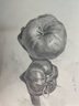 蒙瑪特(Mont Marte)素描套裝 全套畫畫工具折疊畫架便攜畫袋繪畫寫生初學(xué)者4K畫板鉛筆素描紙素描本套裝V速寫素描 曬單實(shí)拍圖