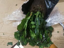 御卉閣 蟹爪蘭盆栽花苗綠植花卉室內陽(yáng)臺辦公室客廳擺放四季開(kāi)花植物  蟹爪蘭玫紅色一盆20棵左右 曬單實(shí)拍圖