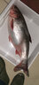 光威爆炸鉤鰱鳙釣組水怪釣籠花鰱魚鉤白鰱專用鉤水雷餌籠套裝 鰱鳙套裝B款11# 曬單實拍圖