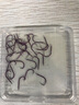 連球 魚鉤散裝伊勢尼有倒刺釣魚鉤大全 新關(guān)東（無刺）30枚裝 0.5 曬單實拍圖