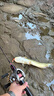 BKUMAN微物之字狗水面系路亞餌遠投浮水假餌白條翹嘴鱸魚(yú)馬口微物餌硬餌 1.8g【五色】三本鉤【送餌盒】 曬單實(shí)拍圖