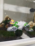 臻的魚(yú)缸氧氣泵迷你增氧泵增氧器充氧泵小魚(yú)缸適用 白色吸盤(pán)款 曬單實(shí)拍圖
