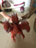 YIER儿童恐龙玩具霸王龙动物模型套装电动大号仿真3-6岁男孩生日礼物 三头龙-橙色【赠送电池】 实拍图
