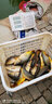 馬焱精品小黃面魚(yú)餌黑坑小黃面面鯉魚(yú)餌料散炮大包黃砂鯉魚(yú)打爆口 guanjun面【原味】+【加強型】各一包共8斤 曬單實(shí)拍圖
