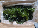 竹島鹽漬海帶邊5斤整箱大連特產(chǎn)新鮮厚海帶絲片結(jié)頭扣涼拌菜煲湯包飯 鹽漬海帶邊 5斤整箱 曬單實(shí)拍圖