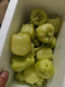 廣西賀州燈籠椒茄子農(nóng)家自種無(wú)公害蔬菜白辣椒紫茄子香辣正宗新鮮 1斤 （約20個(gè)/斤） 曬單實(shí)拍圖