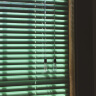 HENGSHANG百叶窗帘免打孔遮光窗帘办公室卫生间厨房铝合金防水升降百叶窗 【拉珠款免打孔】亮光果绿 实拍图