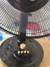 揚(yáng)子揚(yáng)子電風(fēng)扇臺(tái)扇家用搖頭電扇辦公室宿舍轉(zhuǎn)頁扇出租房小型桌面風(fēng)扇輕音臥室省電風(fēng)大 加大號(hào)塑葉 三擋按鍵基礎(chǔ)款 曬單實(shí)拍圖