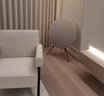 B&OBeosound A9 5.G 5代 鉑傲家庭影院音響一體式無線WiFi藍牙家用 觸控調(diào)音音響音箱 A9 5G 自然色【重磅上市】 曬單實拍圖
