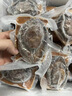 鮑小福4頭溏心鮑魚加熱即食干鮑熬制鮑汁撈飯6頭海鮮冷凍非罐頭中秋送禮 4頭鮑 5份裝【贈鮑汁2份】實惠價 正宗溏心干鮑 曬單實拍圖