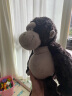 NICI520情人节礼物生日猩猩猴子毛绒玩具可爱玩偶毛绒娃娃公仔送男孩 实拍图