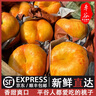 平谷 紅桃現(xiàn)摘水果蜜桃甜桃子北京特產(chǎn)平谷鮮桃大桃旗艦 甄選 7斤 12個(gè)【禮盒裝】 曬單實(shí)拍圖