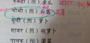 印地語(yǔ)基礎教程（第二版）（第二冊） 曬單實(shí)拍圖