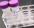 比克曼生物 塑料離心管50ml一次性EP管PCR管帶刻度試管樣品管連蓋螺旋蓋尖底圓底實驗室用 【50ml】綠蓋螺口圓底25個/袋 曬單實拍圖