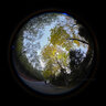 七工匠 4mm f2.8 225°圓周魚(yú)眼鏡頭無(wú)人機(jī)魚(yú)眼鏡頭適用于X,E 黑色 富士X口 曬單實(shí)拍圖
