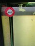 閩江（minjiang）魚(yú)缸水族箱免換水生態(tài)造景客廳風(fēng)金龍魚(yú)缸玻璃烏龜缸錦鯉缸 黑色（禮包+造景+升級過(guò)濾） 長(cháng)100*寬30*高142（魚(yú)缸+柜子） 曬單實(shí)拍圖