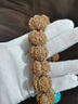 慕木閣 5瓣尼泊爾金剛菩提手串原籽滿肉雙龍黃皮紅皮五瓣菩提子mg271 【滿肉松石款】20-21毫米 曬單實拍圖