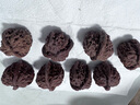 彩荷賭青皮核桃三棱野生文玩手把件四座樓獅子頭（不保三棱） 帶皮60-62mm隨機(jī)4個(gè)送開(kāi)皮工具 曬單實(shí)拍圖
