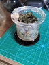 適用于飄逸杯配件可拆洗內(nèi)膽玲瓏杯內(nèi)杯配件清洗彈壓彈簧式家用 300ML分蓋式內(nèi)膽 曬單實拍圖