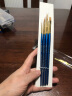 温莎牛顿（WINSOR&NEWTON） 混合貂毛圆头水彩笔 画家专用水彩画笔水粉画笔套装 4支画笔组合 实拍图