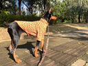 出眾者狗狗牽引繩加長(zhǎng)狗繩中大型犬狗鏈子可調(diào)節(jié)遛狗繩金毛德牧牽狗繩 迷彩MCP 曬單實(shí)拍圖