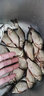 富源百川帝道秦鯽魚(yú)竿37超輕超細28調19臺釣竿高碳魚(yú)桿手桿野釣鯽魚(yú)桿綜合 4.8m 秦鯽19調 曬單實(shí)拍圖