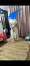 詩丹蕊中式國風改良旗袍提花連衣裙子女學生2024夏季新款泡泡袖碎花長裙 連衣裙 均碼【可備注碼數】 曬單實拍圖