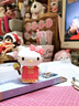 三麗鷗Hellokitty聯(lián)名正版盲盒手辦凱蒂貓公仔場景套裝生日禮物 4款周年紀(jì)念KT+木框燈 曬單實(shí)拍圖