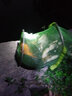 冠標(biāo)競(jìng)技狼牙子線雙鉤黑坑防纏繞成品魚鉤綁好全套裝釣魚鉤鯽魚鉤正釣 正釣狼牙（鉤8號(hào)，線1.2-1.5#） 曬單實(shí)拍圖